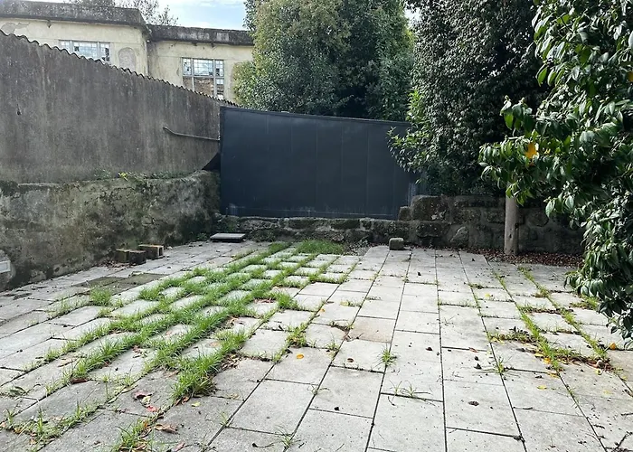 Torrinha Backyard New *