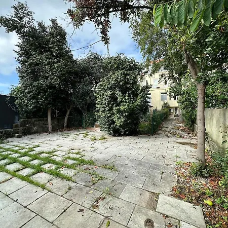 Torrinha Backyard New Oporto