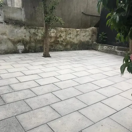 Torrinha Backyard New *